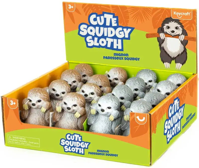 Cute Squidgy Sloth